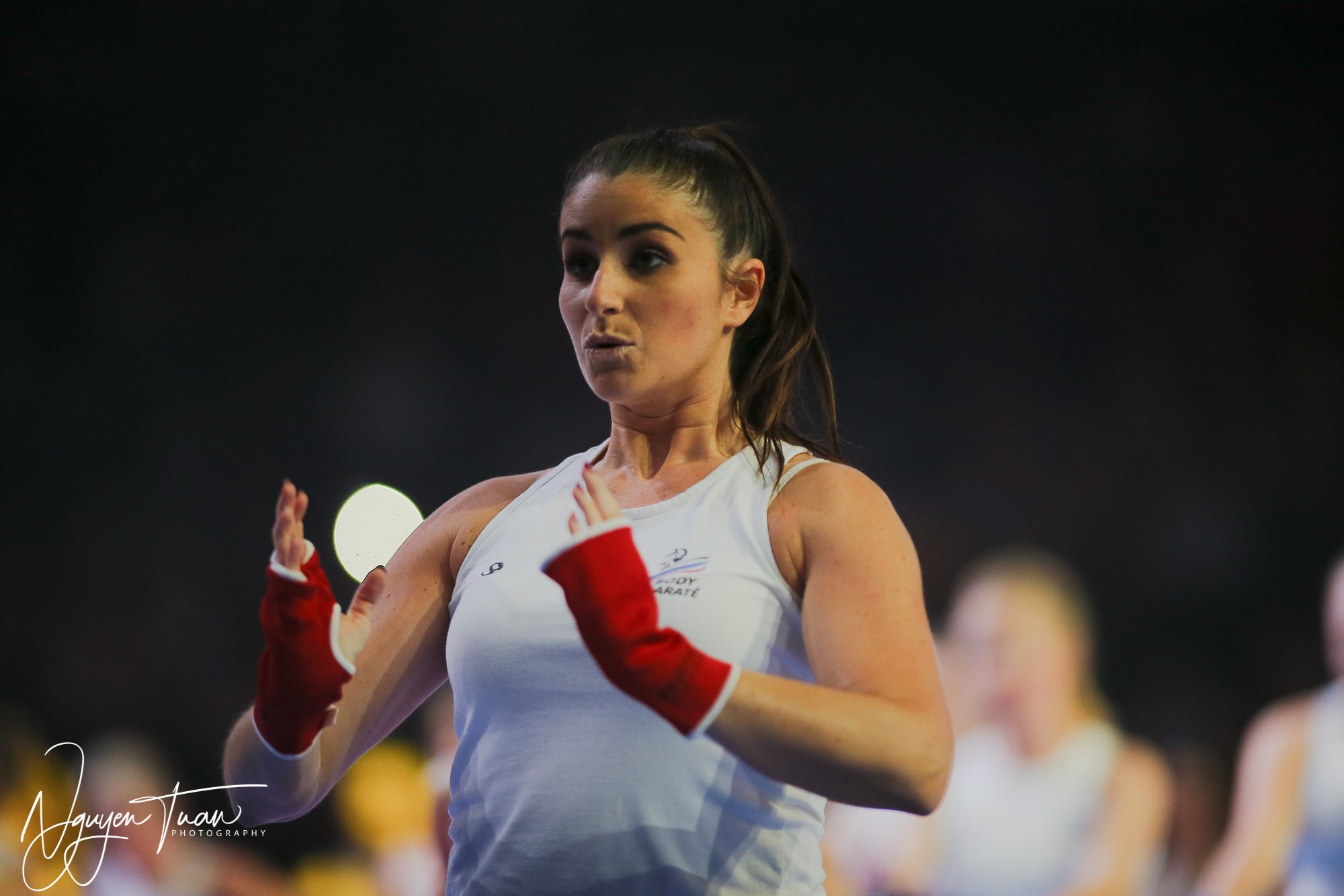 20190324 Festival des Arts Martiaux 2044